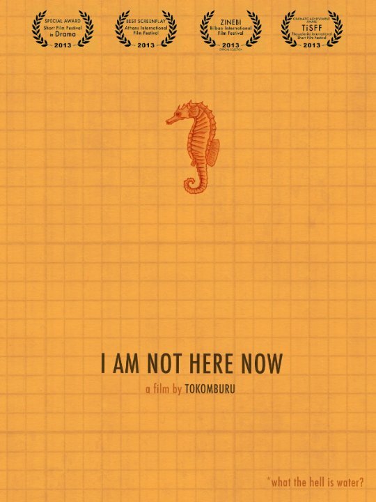 I Am Not Here Now (2013)