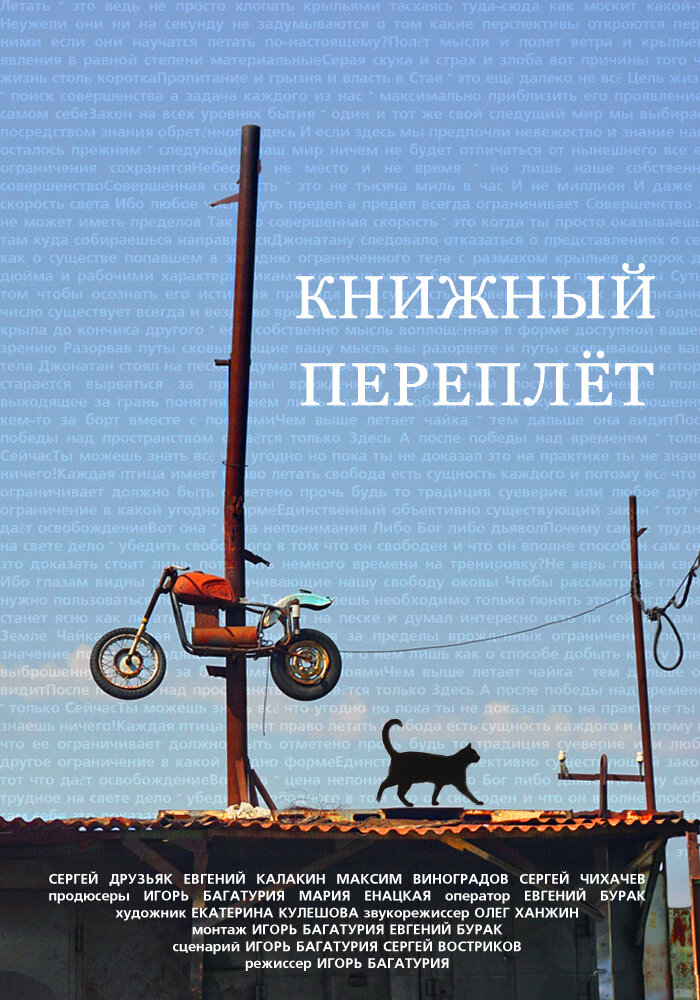 Книжный переплет (2016)