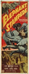 Elephant Stampede (1951)